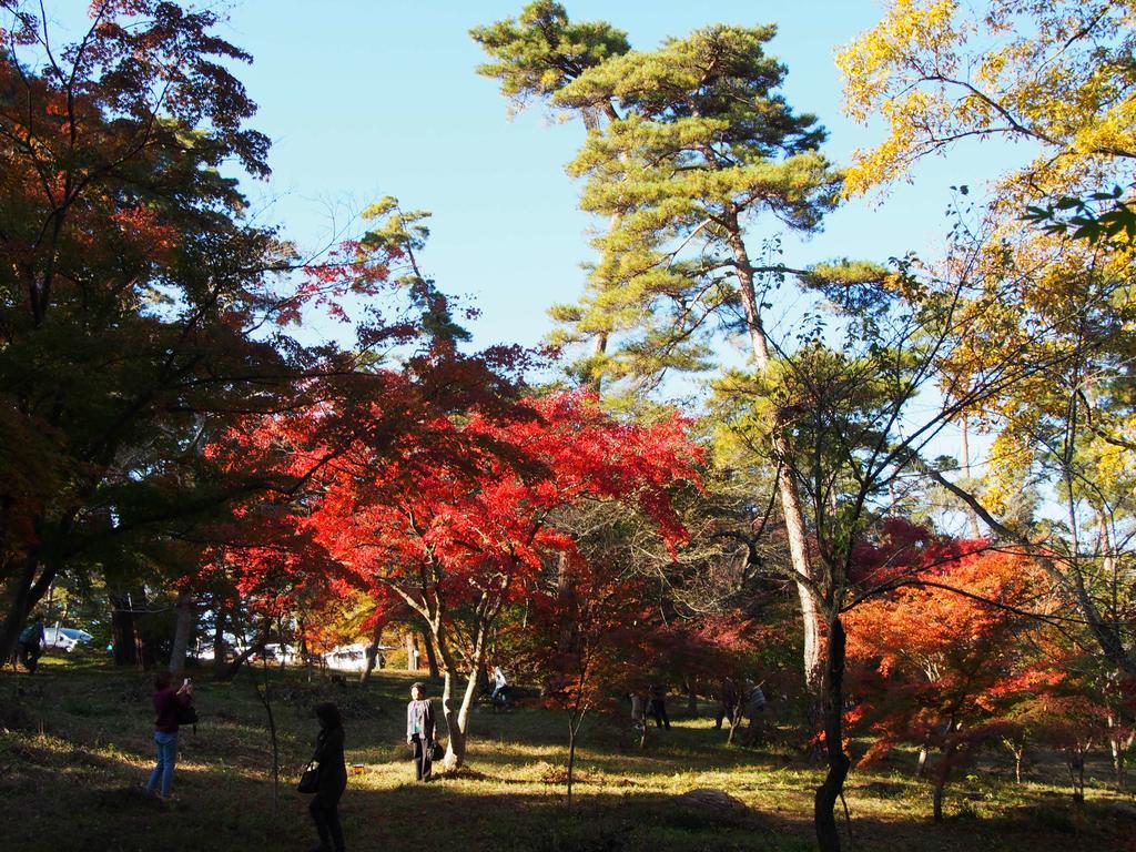 Inn Yokotei Nagatoro  Exterior foto